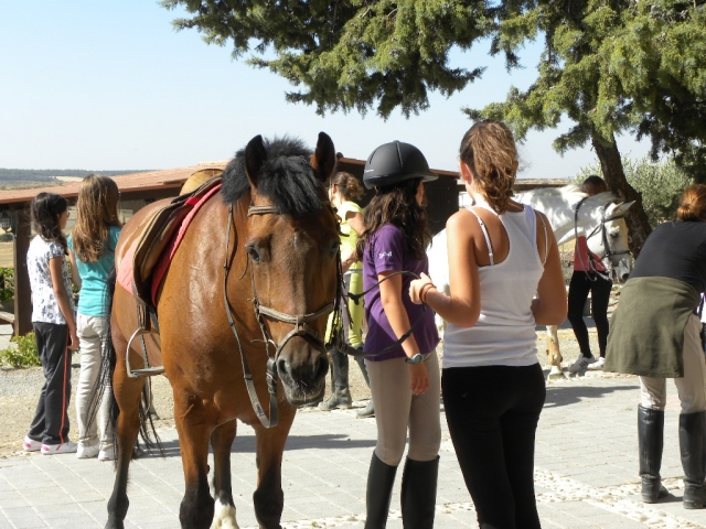  Se préparer à monter à cheval 